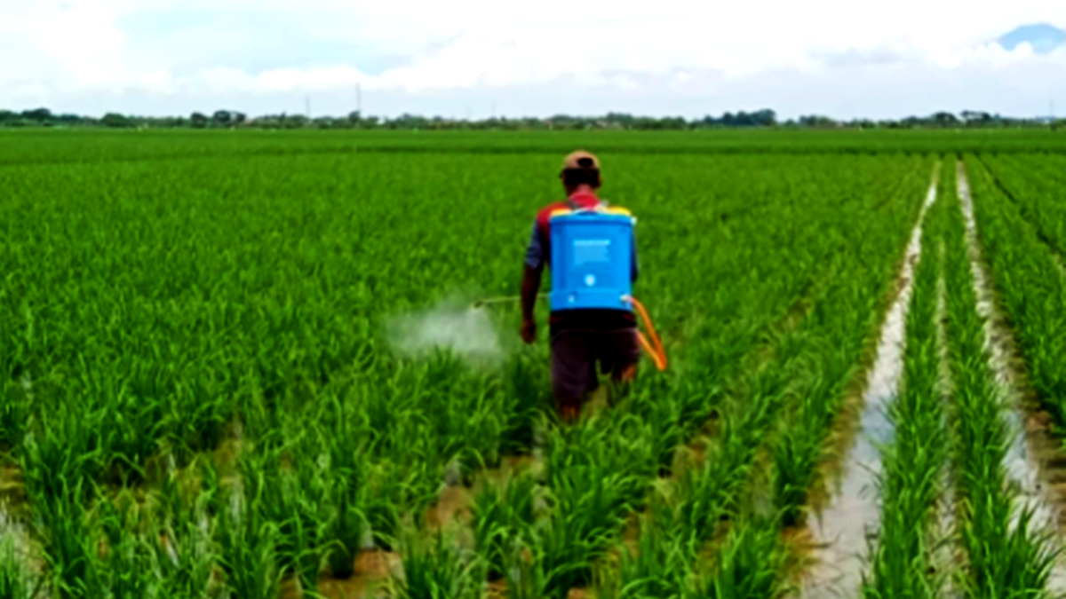 Pengembangan Sektor Pertanian